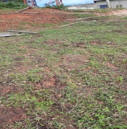 Landscaping – Sonde